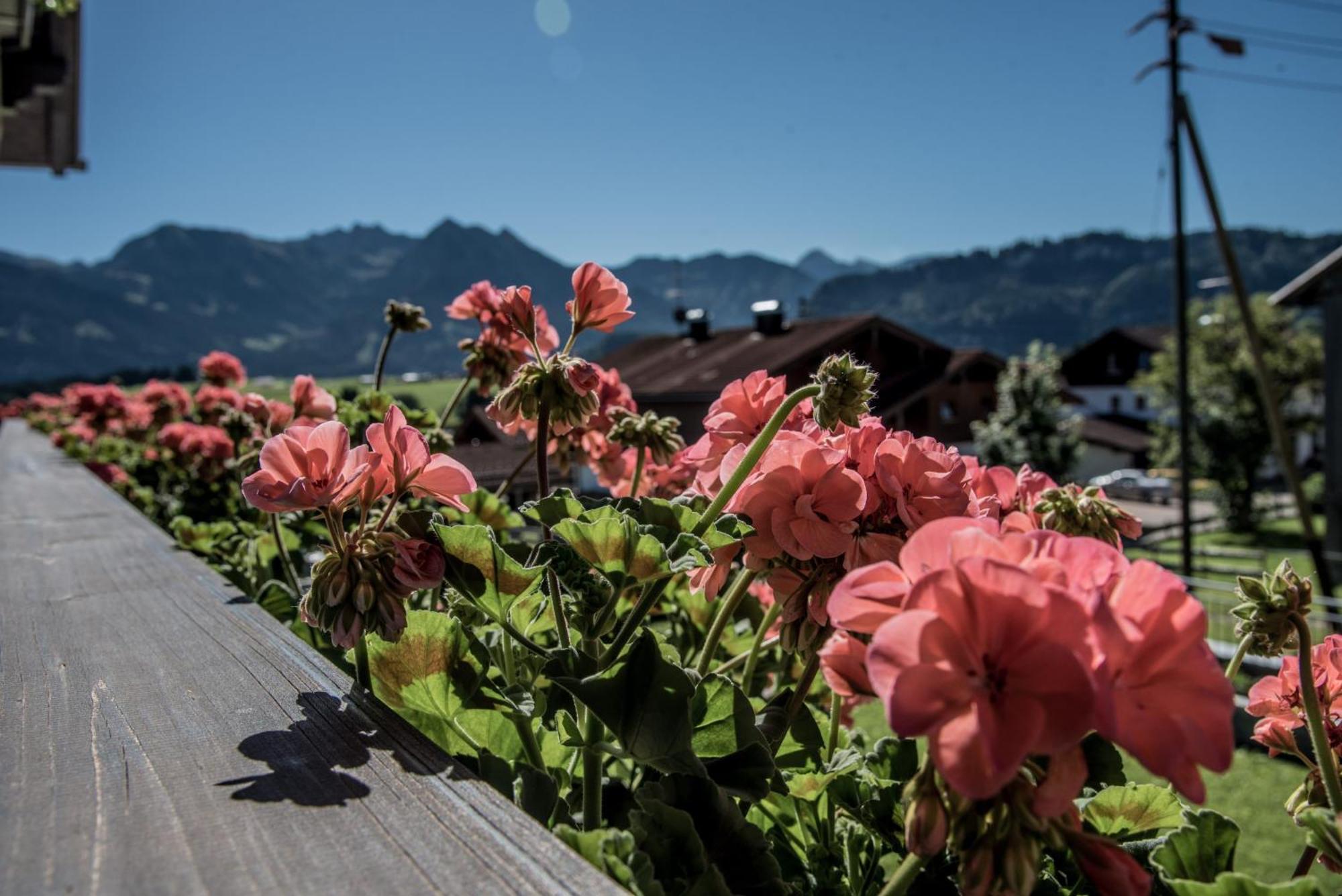 Alpenhaus Steiner - Top-Ferienwohnungen - Sommer-Bergbahn Inklusive Bolsterlang Buitenkant foto